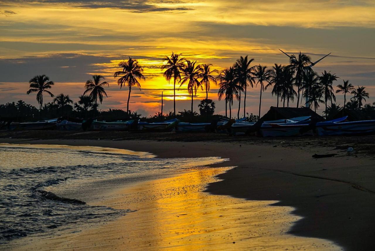 Red Coral Kitesurfing Resort カルピティヤ エクステリア 写真